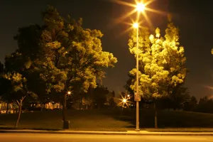 JPG Straight from Camera. ISO1600. NR DISABLED