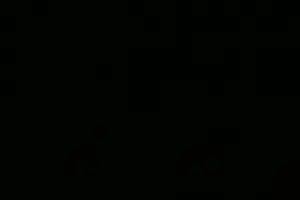 1600 iso, 1 second (nr off)