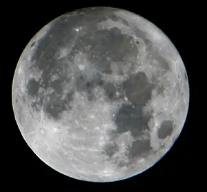 Canon MKII 2x Teleconverter Gallery