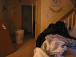 Spin thru the livingroom