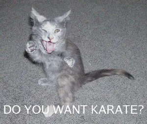 Do_You_Want_Karate.jpg